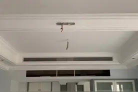 中央空调吊顶里有老鼠怎么办（空调里进老鼠了怎么解决）图片