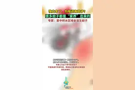 快立冬了，为啥还有蚊子？很多蚊子都是“家养”出来的，专家：家中积水区域会滋生蚊子图片