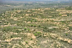 中国即将消失的沙漠，沙漠面积比海南岛还大，80％被绿色覆盖图片