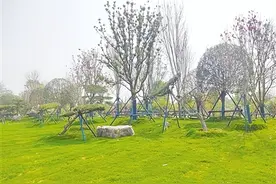 今年，中心城区开工建设10个大公园 让我们一起幸福地生活在花园里图片