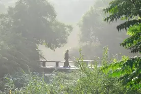 山东济宁市徐氏图片