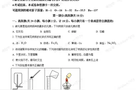 2023年陕西省中考化学试题（含解析）图片