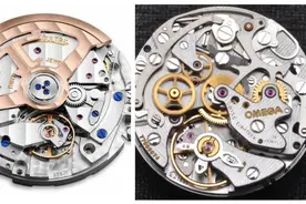 手表有哪些不同类型？各种手表的综合指南图片