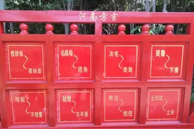 wishtoday河南话是什么意思？图片