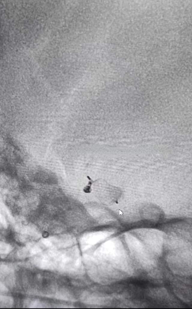 四川省民生研究会新媒体中心-官网