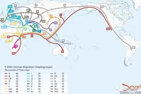 我们是北京猿人的后代吗？我们可以从人类基因图谱中找到答案图片