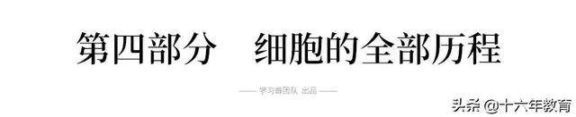 高中生物三年必背知识最全汇总（建议打印）