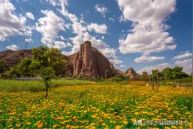 您知道东乡族民间乐器有哪些嘛？图片