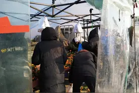 新春走基层丨长春市富锋镇：年货大集人气旺，购销两旺年味足图片