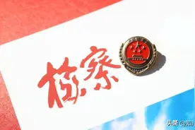 民事案件正式救济途径的最后一道，向检察院申请复查，你知道吗图片