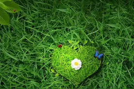 朋友离职祝福的话(精选56句)图片