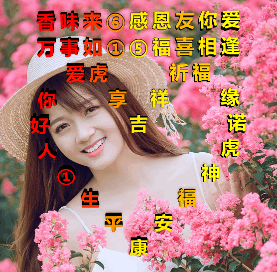 吉祥原创表情情感美文随笔