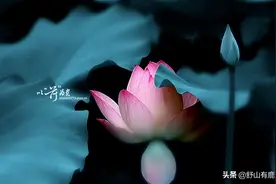 “人有报应，特征明显”：小人在遭报应之前，往往会出现这些预兆图片