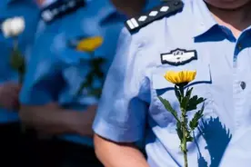 2021年全国牺牲民警、辅警人数公布！图片