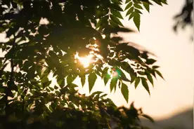 你让我心动，也让我心安图片