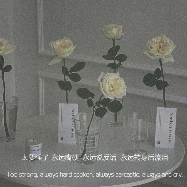 温柔又抑郁的文案长句 - 冷求网