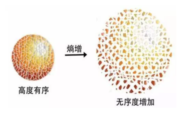 冷酷到底！现实世界的冰系大魔导师-稀释制冷机