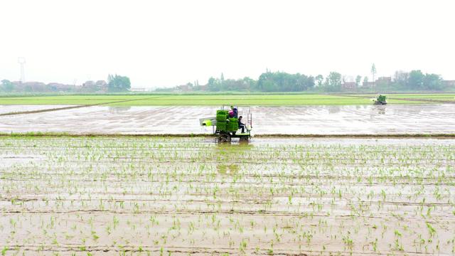 湖南中部农林机械展