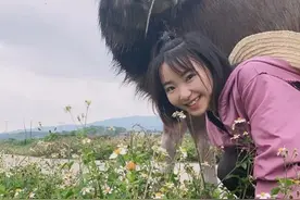 姑娘养了一头能听懂人话的牛！每天朝夕相处，堪称现实版织女牛郎图片