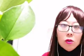 只需打开微信隐藏功能，立马和外国友人轻松聊天，不会用太浪费图片