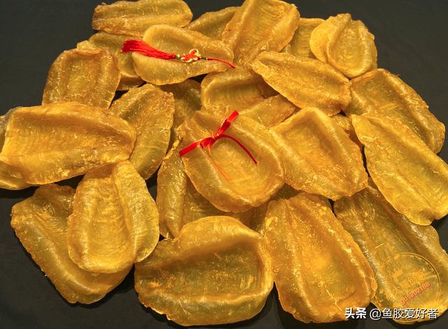 斗湖鱼胶好不好 2026年斗湖鱼胶是鳘鱼胶吗