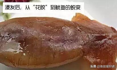 假鱼胶和真鱼胶的区别 假鱼胶炖出来的样子