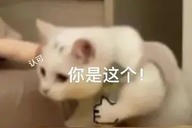 江苏常州：悲剧！三轮车发生侧翻，乘坐人摔下不幸身亡！图片