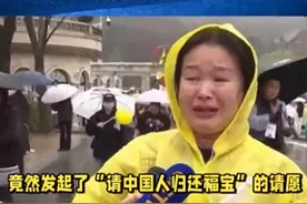 荒唐！韩国人发起请愿，请中国归还福宝！连偷带拿玩上瘾了？图片