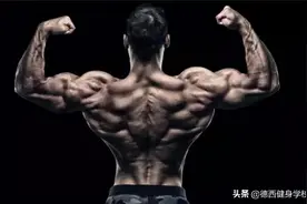 「收藏」全套背部训练动作合集，赶紧收藏起来吧图片