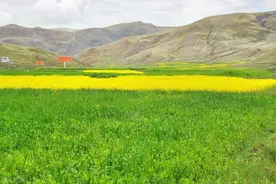 天天想你，夜夜想你，你是我爱情世界的童话，是我一生的牵挂图片