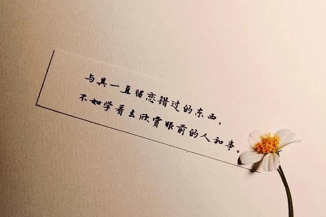 ����Ȧ�Ƽ����İ�