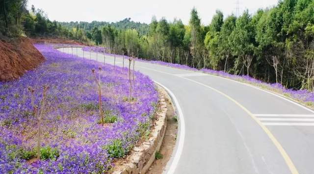 四川省民生研究会新媒体中心-官网