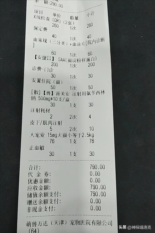 在宠物医院花了1200元说没救了，到了救助站几毛钱就治好了！