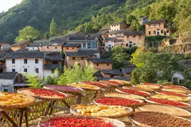 农村逐渐出现村干部“乱收费”，有3种费用，村民可拒绝，举报图片