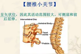 脊椎小关节紊乱怎么办？或许可以采用中医正骨的方法图片