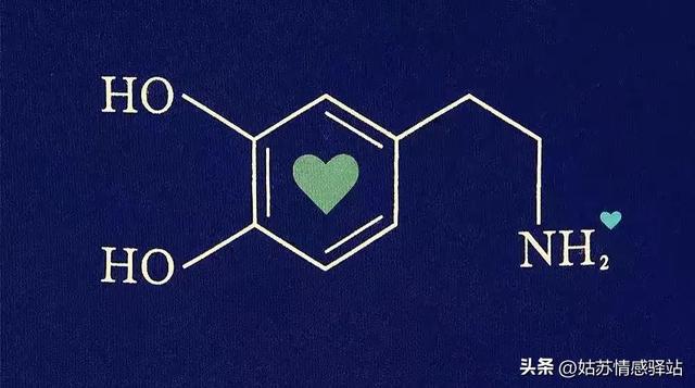 相爱的6大要素：单身必看攻略