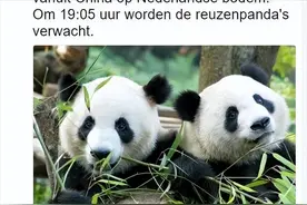 世界上最喜欢大熊猫的8个国家，前三名简直是把大熊猫当成皇帝养图片