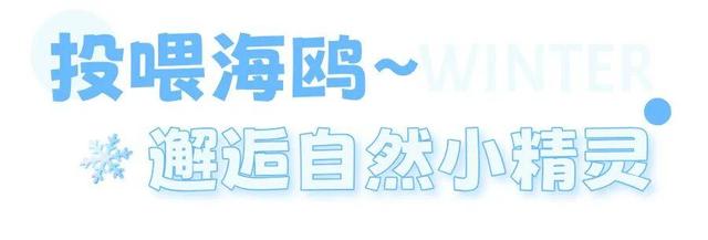 十二月好去处丨雪雪雪！烟台即将美成仙境