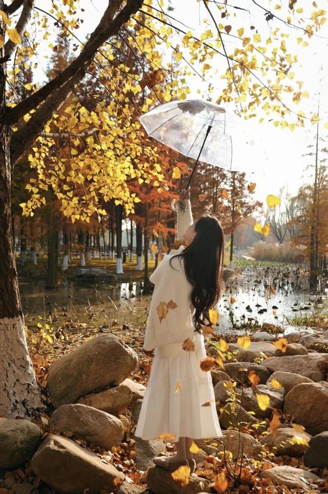 目测要火！烟台这座小城最近好看得离谱