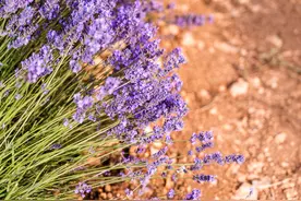 两性交往，想让女人主动联系你，用这6个方法就能做到图片