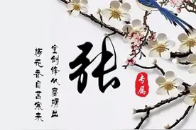 全国各地古代张氏族谱（影印版）图片