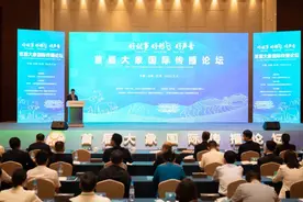 听大象之声，讲中国故事图片