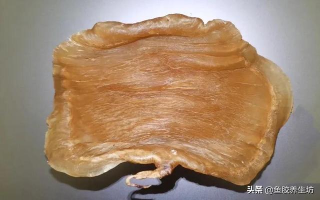 人工合成花胶 人工合成花胶可以吃吗