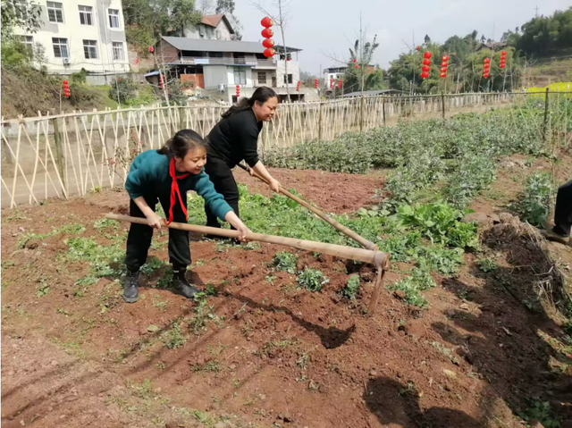 四川省民生研究会新媒体中心-官网