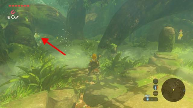 塞尔达传说之旷野之息全神庙位置（六）——森林之塔