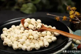 荷花全身都是宝！莲梗竟也是一味中药图片