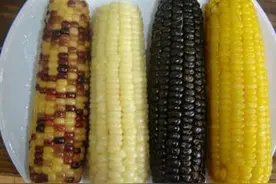 甜玉米、糯玉米、老玉米、紫玉米，哪种营养好、哪种吃完升血糖？图片