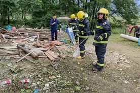 五步蛇咬人，走5步就会毒发身亡吗？警惕！雄黄粉不是毒蛇的克星图片