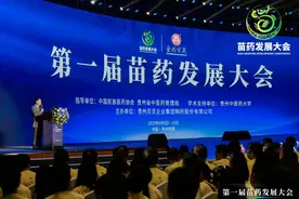 千年苗医，万年苗药 | 第一届苗药发展大会隆重召开！图片