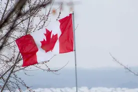 加拿大注册公司的利弊图片